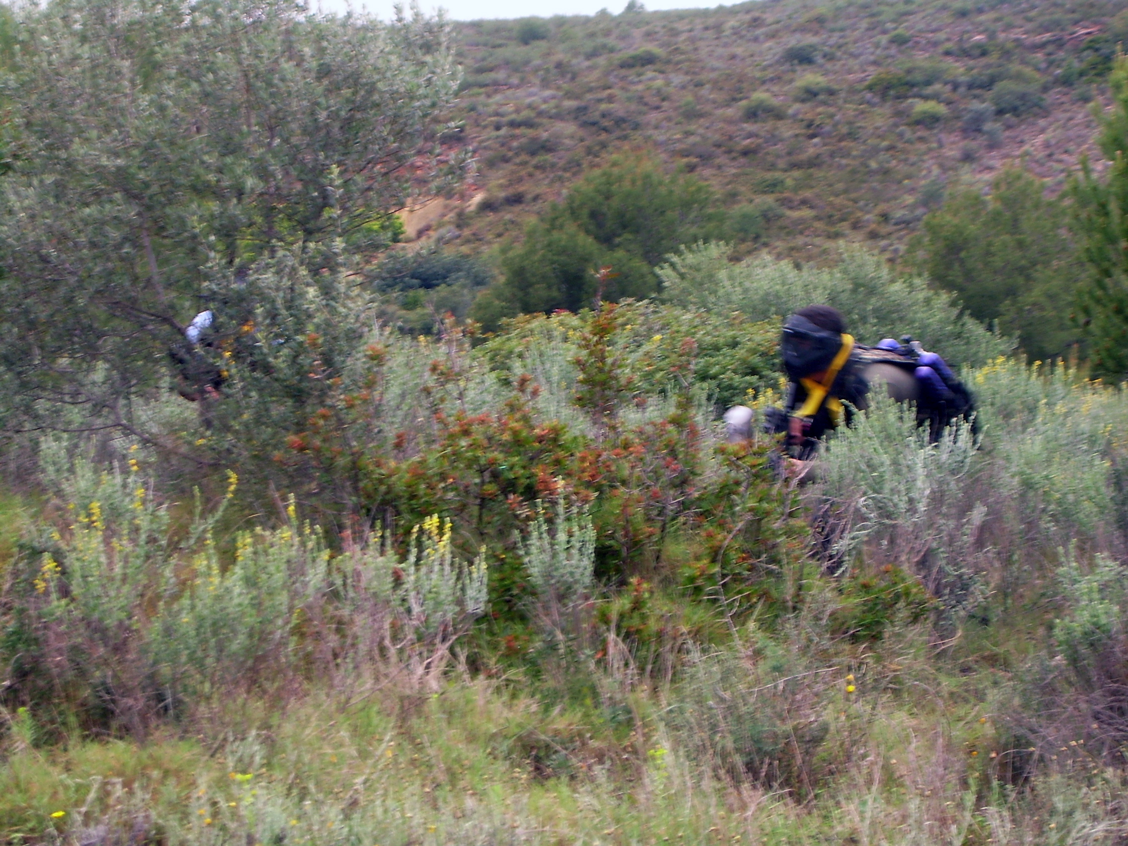 Fotografía DSCN0557 en el álbum Ribesalbes 2007